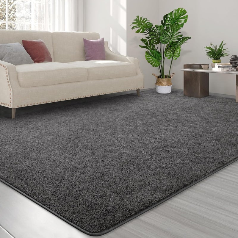 FlyDOIT Area Rugs for Bedroom Living Room, 4x6 Dark Grey Super Soft Comfy Thickened Memory-Foam Indoor Carpets, Modern Aesthetic Minimalist Carpet for Boys Girls Adults Apartment Nursery Home Décor - Image 3